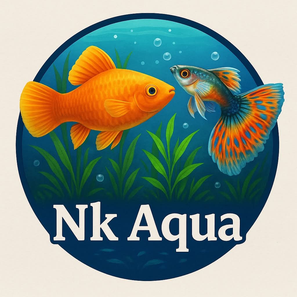 NK Aqua